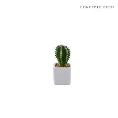 CACTUS RUBBER 15 CM