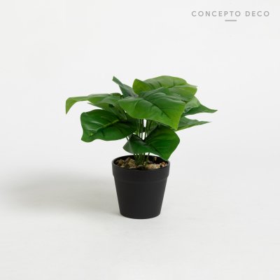 PLANTA ARTIFICIAL CON MACETA ADÁN 17CM