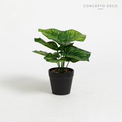 PLANTA ARTIFICIAL CON MACETA CALATHEA 17CM