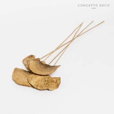 FLORES SECAS BOUQUET SPONGE MUSHROOM 69CM