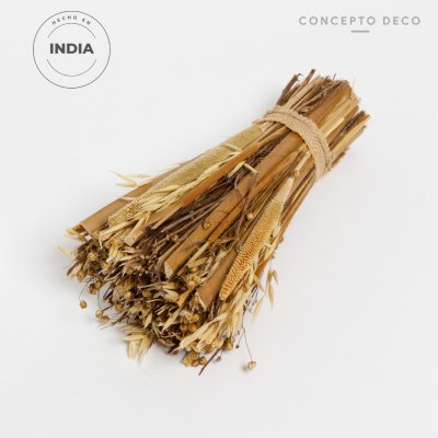 FLORES SECAS SOLA 32CM