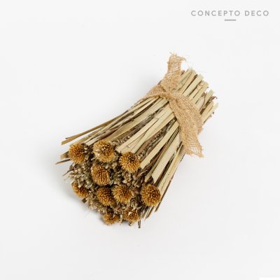 FLORES SECAS SOLA CRISANTEMO 21CM