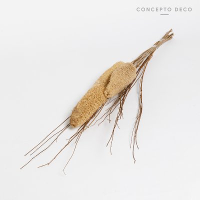 FLORES SECAS BOUQUET LUFFA SMALL ON STEM 75CM