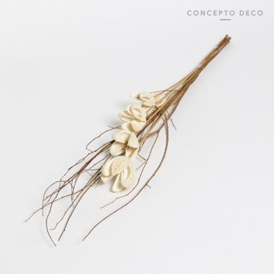 FLORES SECAS BOUQUET BULLET FLOWER WHITE 70CM