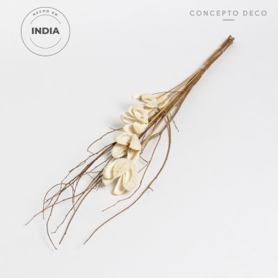 FLORES SECAS BOUQUET BULLET FLOWER WHITE 70CM